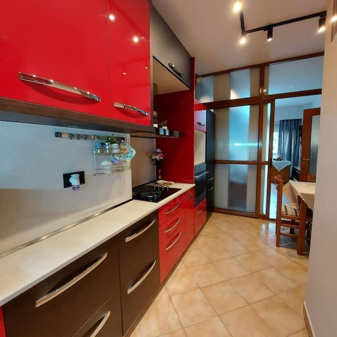 Apartament Cozy 1-bedroom Near The Center Of Tirana.